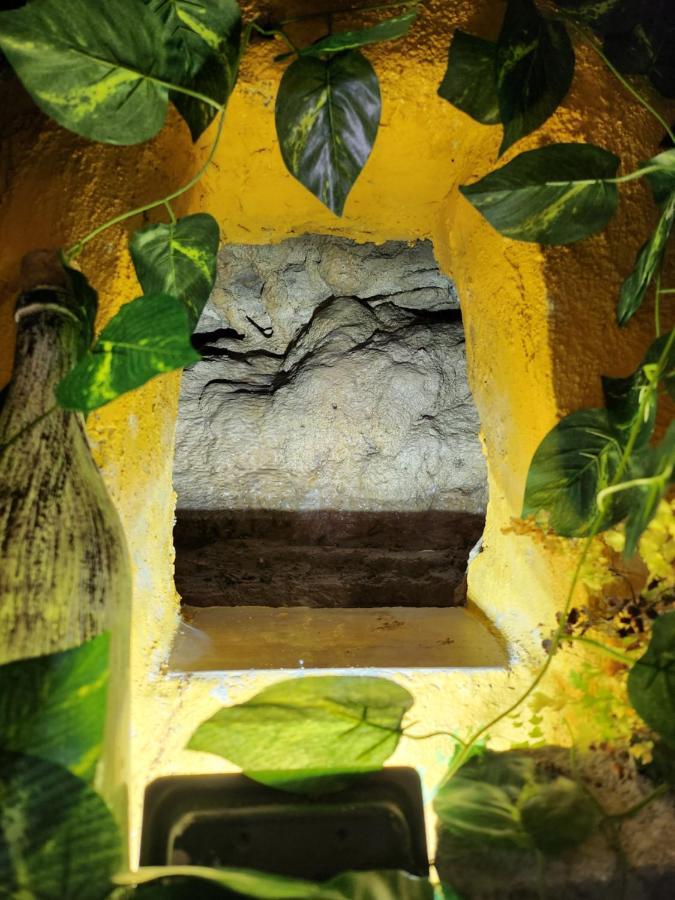 Casita Zamudio Setenil De Las Bodegas Exterior foto